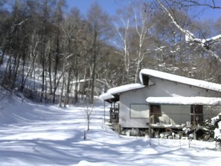 長野県菅平高原 ゆたか山荘 西側(坂上) 2026/02/02 10:45