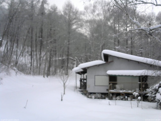 長野県菅平高原 ゆたか山荘 西側(坂上) 2026/02/03 07:30