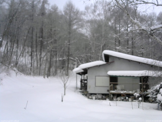 長野県菅平高原 ゆたか山荘 西側(坂上) 2026/02/03 08:00
