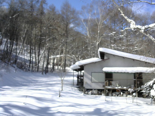 長野県菅平高原 ゆたか山荘 西側(坂上) 2026/02/03 11:30