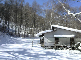 長野県菅平高原 ゆたか山荘 西側(坂上) 2026/02/04 11:00
