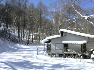長野県菅平高原 ゆたか山荘 西側(坂上) 2026/02/04 11:15