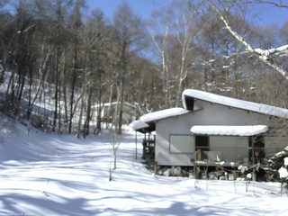 長野県菅平高原 ゆたか山荘 西側(坂上) 2026/02/04 11:30