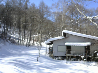 長野県菅平高原 ゆたか山荘 西側(坂上) 2026/02/04 12:15