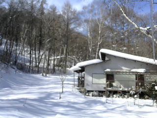 長野県菅平高原 ゆたか山荘 西側(坂上) 2026/02/05 10:45