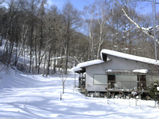長野県菅平高原 ゆたか山荘 西側(坂上) 2026/02/05 11:00