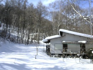 長野県菅平高原 ゆたか山荘 西側(坂上) 2026/02/05 11:30