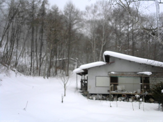 長野県菅平高原 ゆたか山荘 西側(坂上) 2026/02/06 13:45