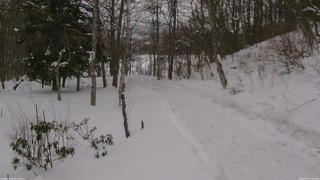 長野県菅平高原 ゆたか山荘 駐車場奥 2026/02/07 14:45