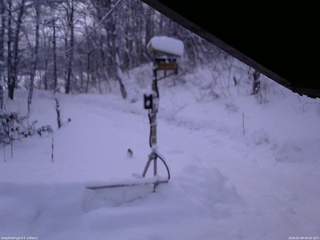 長野県菅平高原 ゆたか山荘 南側 2026/02/08 06:30