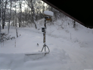 長野県菅平高原 ゆたか山荘 南側 2026/02/08 08:00