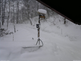 長野県菅平高原 ゆたか山荘 南側 2026/02/08 10:00