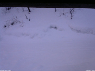 長野県菅平高原 ゆたか山荘 東側(坂下) 2026/02/08 07:15