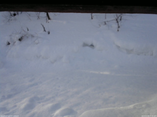 長野県菅平高原 ゆたか山荘 東側(坂下) 2026/02/08 07:30