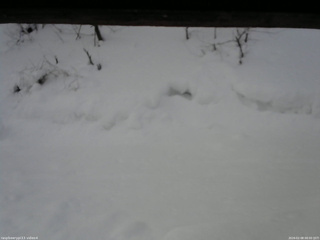 長野県菅平高原 ゆたか山荘 東側(坂下) 2026/02/08 08:00