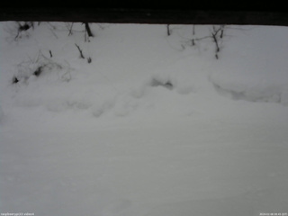 長野県菅平高原 ゆたか山荘 東側(坂下) 2026/02/08 08:45