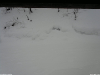 長野県菅平高原 ゆたか山荘 東側(坂下) 2026/02/08 11:00