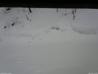 長野県菅平高原 ゆたか山荘 東側(坂下) 2026/02/08 13:45