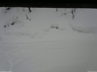 長野県菅平高原 ゆたか山荘 東側(坂下) 2026/02/08 14:45