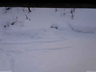 長野県菅平高原 ゆたか山荘 東側(坂下) 2026/02/08 15:30