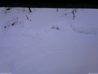 長野県菅平高原 ゆたか山荘 東側(坂下) 2026/02/08 16:00