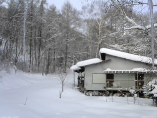 長野県菅平高原 ゆたか山荘 西側(坂上) 2026/02/08 08:00