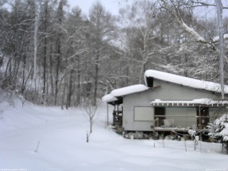 長野県菅平高原 ゆたか山荘 西側(坂上) 2026/02/08 08:15