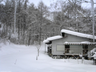 長野県菅平高原 ゆたか山荘 西側(坂上) 2026/02/08 08:45