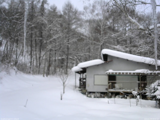 長野県菅平高原 ゆたか山荘 西側(坂上) 2026/02/08 09:00