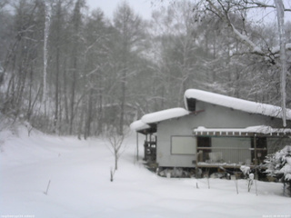 長野県菅平高原 ゆたか山荘 西側(坂上) 2026/02/08 09:30