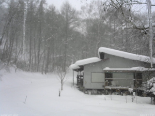 長野県菅平高原 ゆたか山荘 西側(坂上) 2026/02/08 10:45