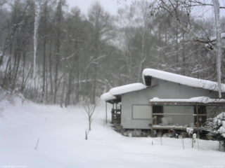 長野県菅平高原 ゆたか山荘 西側(坂上) 2026/02/08 11:00