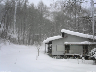 長野県菅平高原 ゆたか山荘 西側(坂上) 2026/02/08 11:15