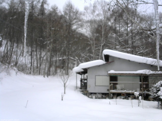 長野県菅平高原 ゆたか山荘 西側(坂上) 2026/02/08 13:00