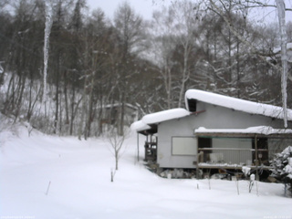 長野県菅平高原 ゆたか山荘 西側(坂上) 2026/02/08 13:15