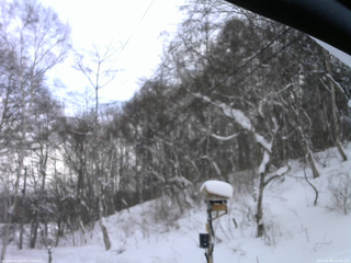 長野県菅平高原 ゆたか山荘 温度計 2026/02/08 15:45
