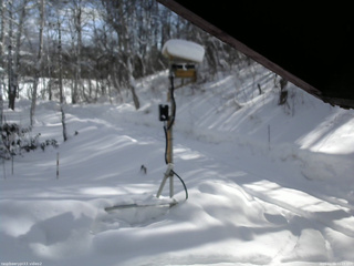長野県菅平高原 ゆたか山荘 南側 2026/02/09 11:15