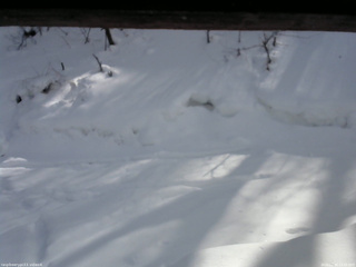 長野県菅平高原 ゆたか山荘 東側(坂下) 2026/02/09 13:30