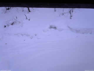 長野県菅平高原 ゆたか山荘 東側(坂下) 2026/02/09 17:15