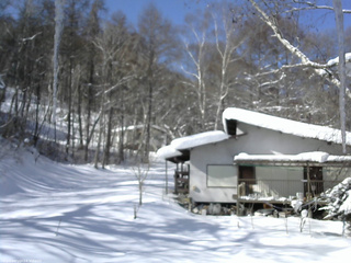 長野県菅平高原 ゆたか山荘 西側(坂上) 2026/02/09 10:45