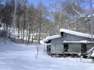 長野県菅平高原 ゆたか山荘 西側(坂上) 2026/02/09 11:00
