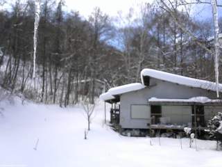 長野県菅平高原 ゆたか山荘 西側(坂上) 2026/02/09 12:45