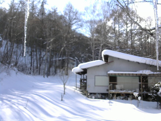 長野県菅平高原 ゆたか山荘 西側(坂上) 2026/02/09 14:45