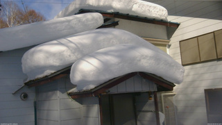 長野県菅平高原 ゆたか山荘 ゆたか山荘 2026/02/09 09:30