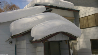 長野県菅平高原 ゆたか山荘 ゆたか山荘 2026/02/09 11:00
