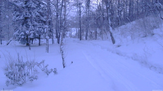 長野県菅平高原 ゆたか山荘 坂下 2026/02/09 06:30