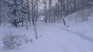 長野県菅平高原 ゆたか山荘 坂下 2026/02/09 07:00
