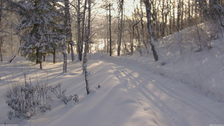 長野県菅平高原 ゆたか山荘 坂下 2026/02/09 07:45