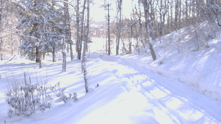 長野県菅平高原 ゆたか山荘 坂下 2026/02/09 09:00