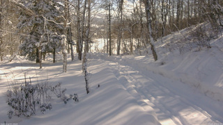 長野県菅平高原 ゆたか山荘 坂下 2026/02/09 10:00